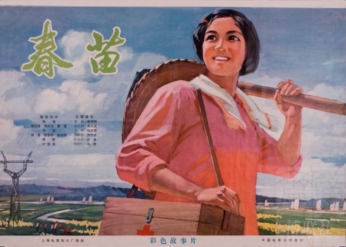 University of North Flora艺术文凭证书